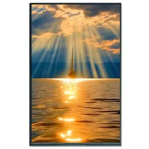 IPS LCD Panel