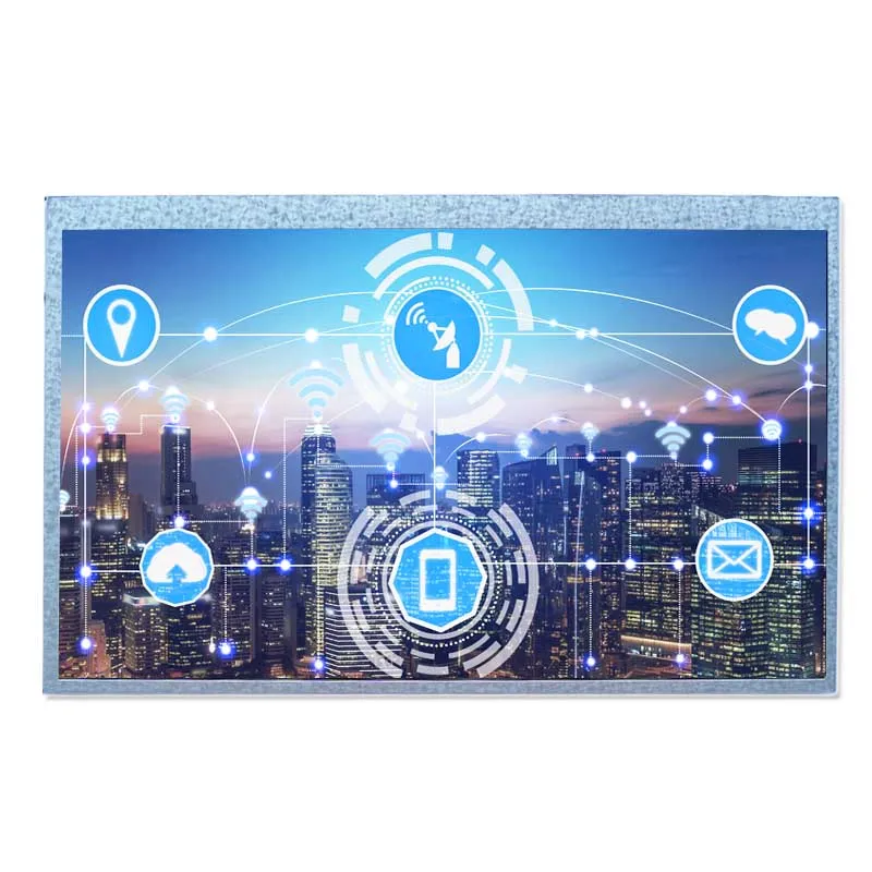 10.1 inch TFT Display Panel