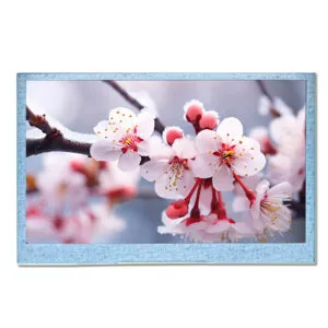 4.3 inch display lcd tft factory