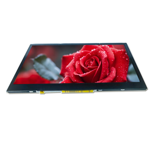 5 inch lcd display panel