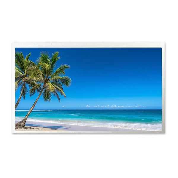 13.3 inch lcd panels supplier