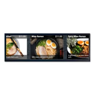 24.5 inch Bar LCD Display