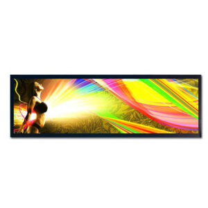 28.6 inch 1920*540 LVDS High Brightness Bar TFT LCD Module for Digital Signage