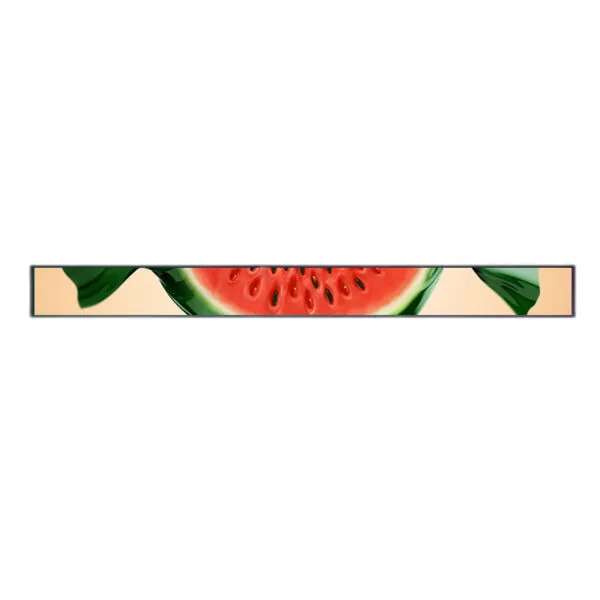 56.6 inch Stretched LCD Monitors