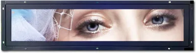 24 inch Bar LCD Display Monitor