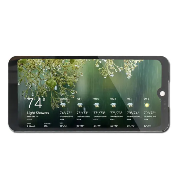 Display AMOLED Display AMOLED