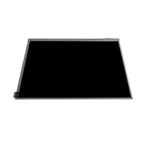 10.1 inch IPS Display