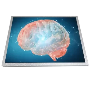 15 inch high brightness LCD