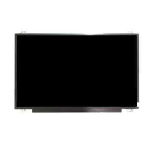 17.3 inch LCD Display
