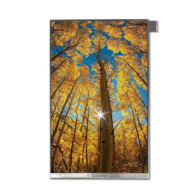 MIPI IPS LCD