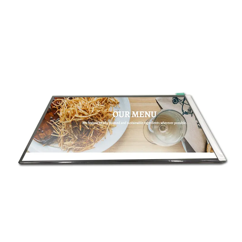 MIPI IPS Panel