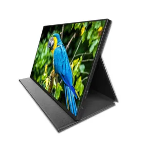External Portable Monitor