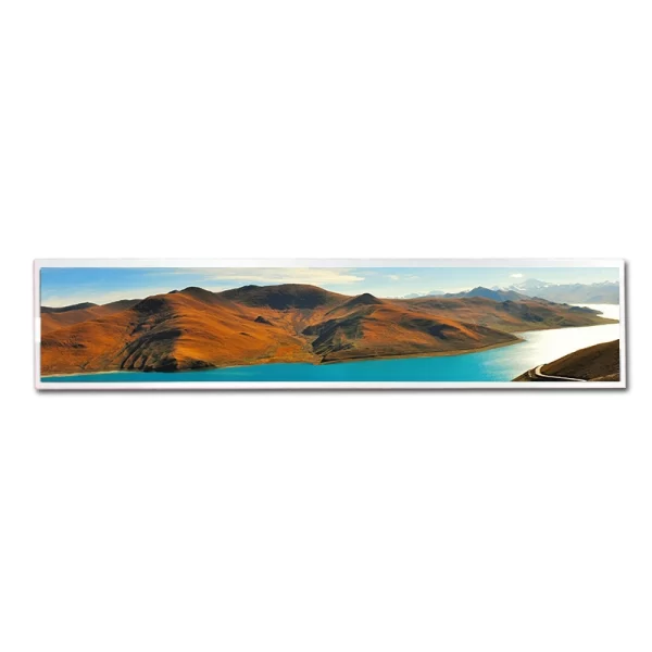 19 inch TFT Panel