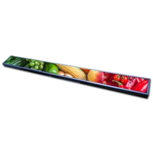 23.1” Stretched LCD Screen
