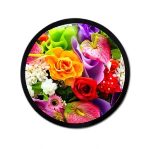Round TFT Display
