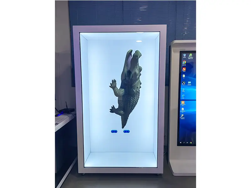 Transparent LCD Panel